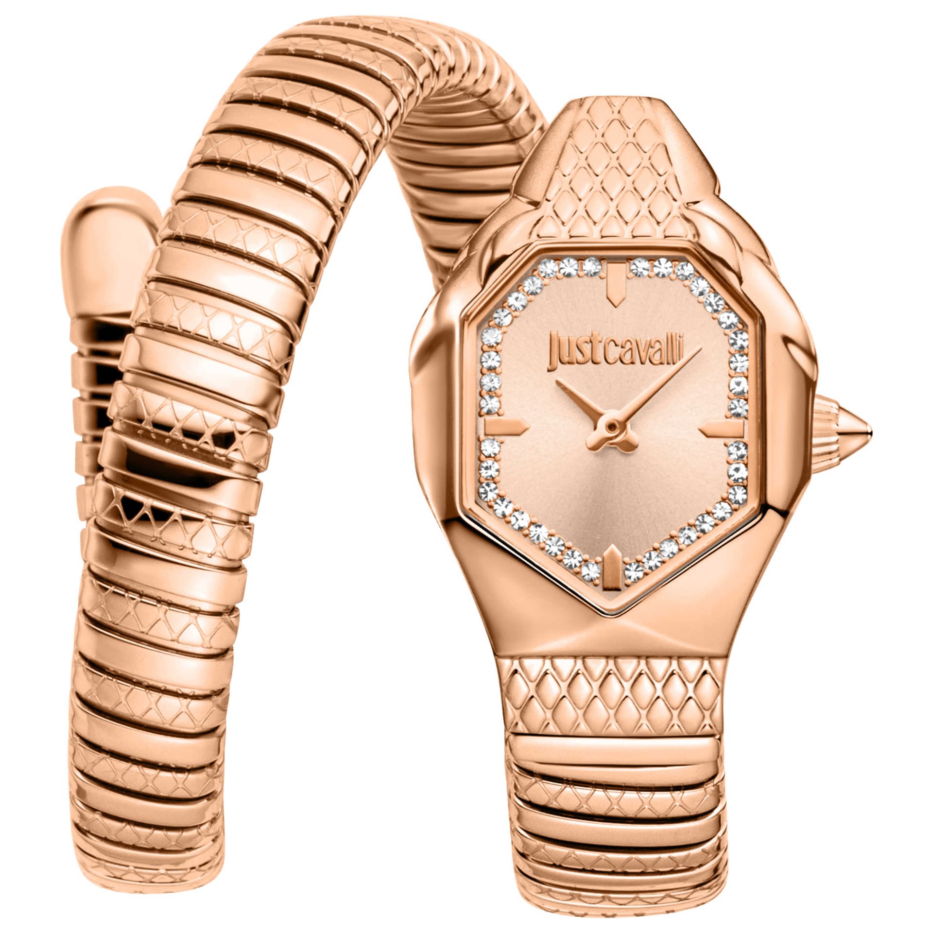 Just Cavalli Women's Watch JC1L369M0055