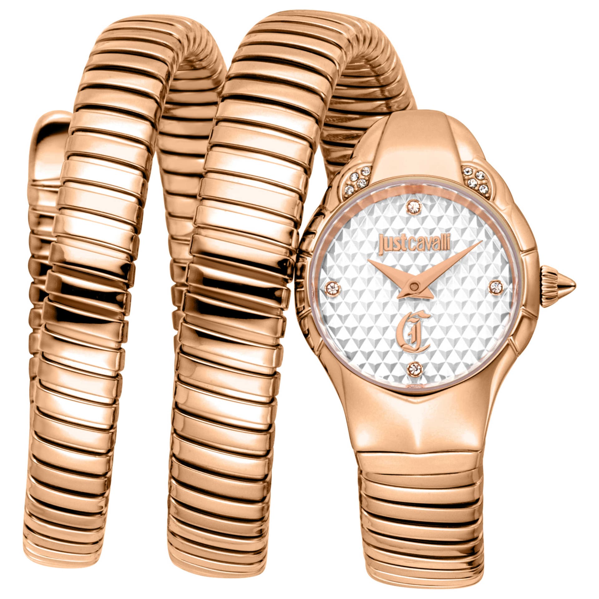 Just Cavalli Women's Watch JC1L393M0035