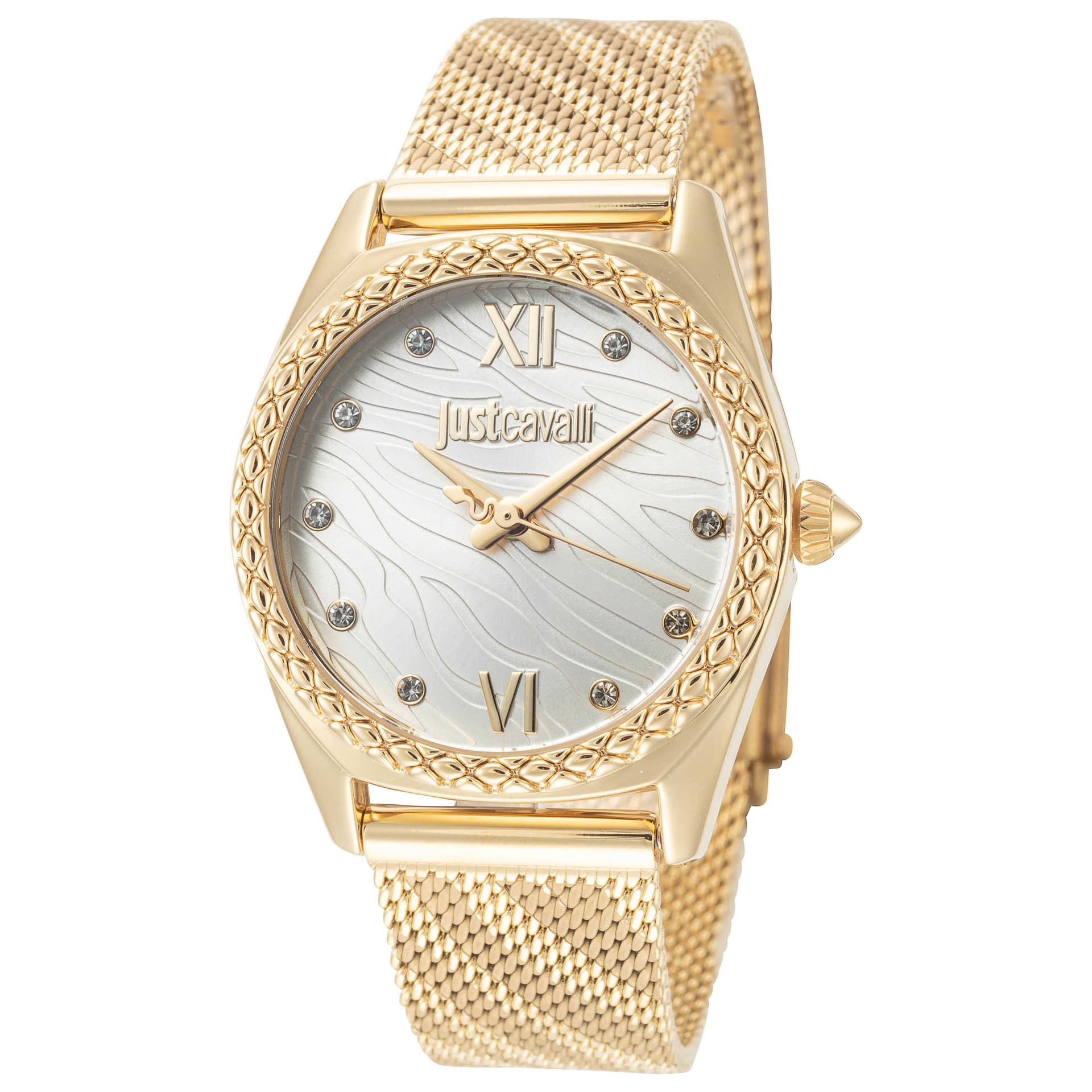 Just Cavalli Lustro Women's Watch JC1L313M0025